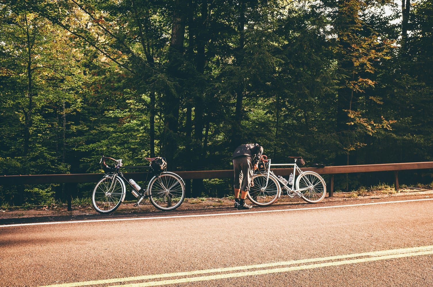 Fahrradweg im Grünen rund um Chemnitz