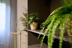 Gallery image 14 of 34