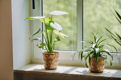 Gallery image 11 of 35