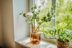 Gallery image 16 of 35