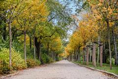 Gallery image 29 of 36